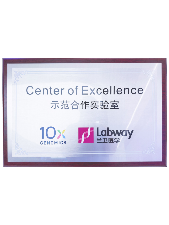 03 ǲ10Xģʵ.png